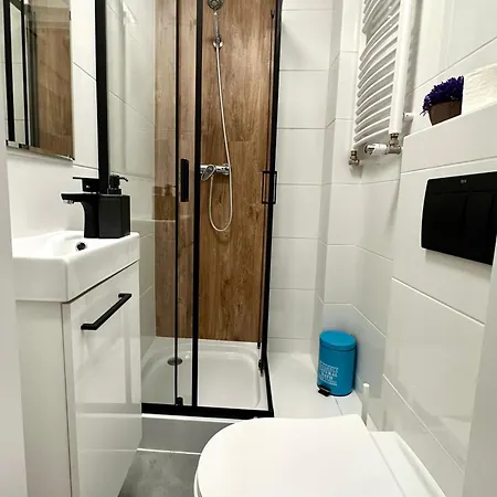 Mmrent Jungle Gdansk