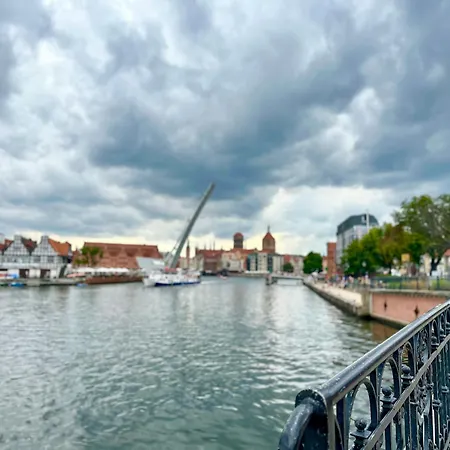 Mmrent Jungle Гданьск