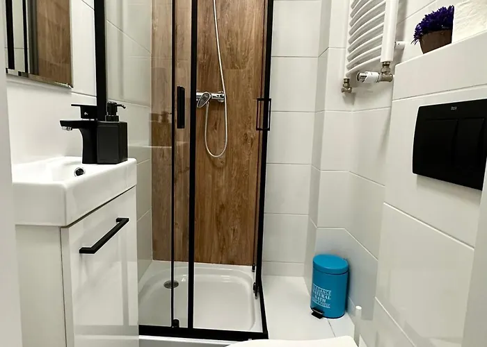 Mmrent Jungle Gdańsk