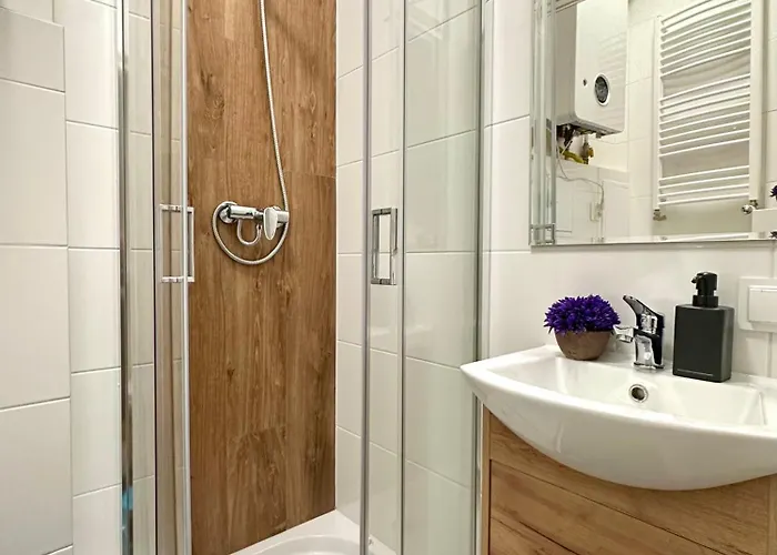 Mmrent Jungle Gdańsk