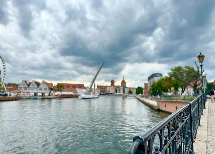 Mmrent Jungle Gdańsk