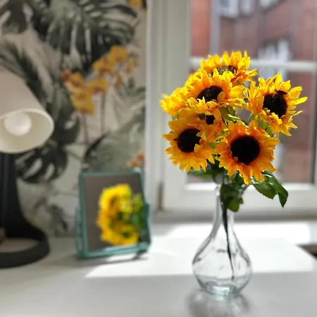 Mmrent Jungle Homestay szállás