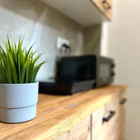 Mmrent Jungle Gdańsk