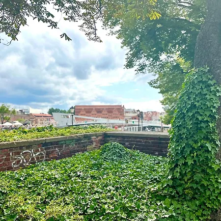 Homestay szállás Mmrent Jungle Gdańsk