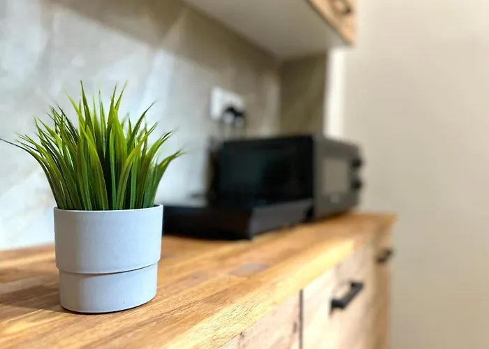 Mmrent Jungle Gdańsk